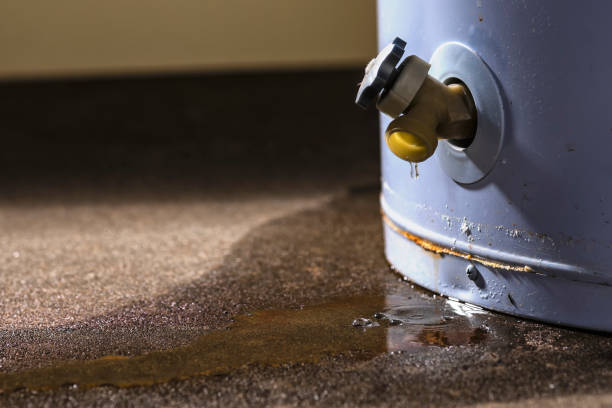 Best Water damage mitigation services  in Esko, MN