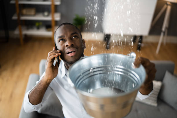 Best Water damage restoration specialists  in Esko, MN