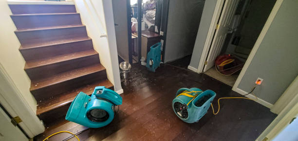 Best Local water damage restoration  in Esko, MN