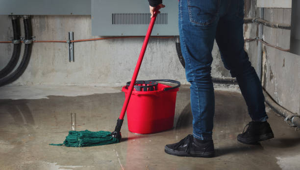 Best Sewage cleanup and water damage restoration  in Esko, MN