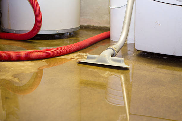 Best Water damage restoration services  in Esko, MN