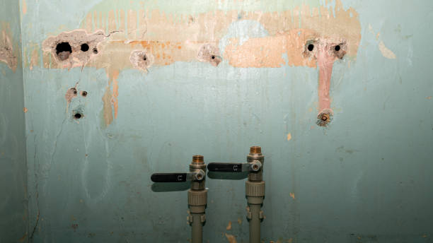 Best Water damage restoration mold remediation  in Esko, MN